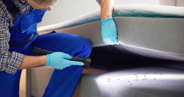 Best Affordable Pest Control Services  in Merrick, NY