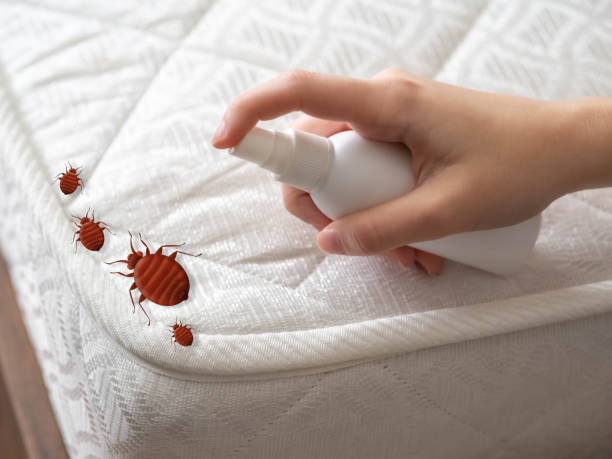 Best Pest Removal Services  in Merrick, NY