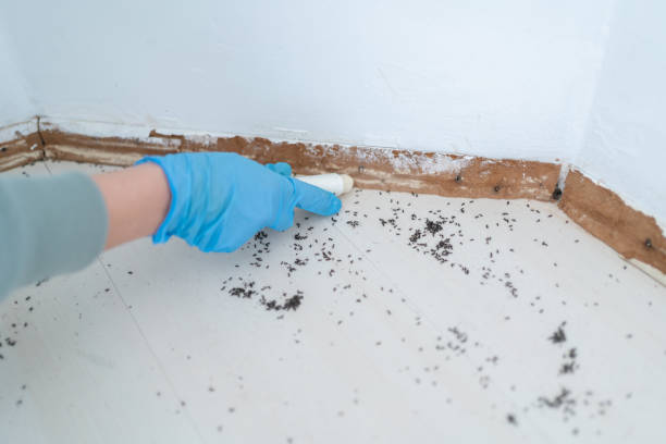 Best Exterminator Services  in Merrick, NY